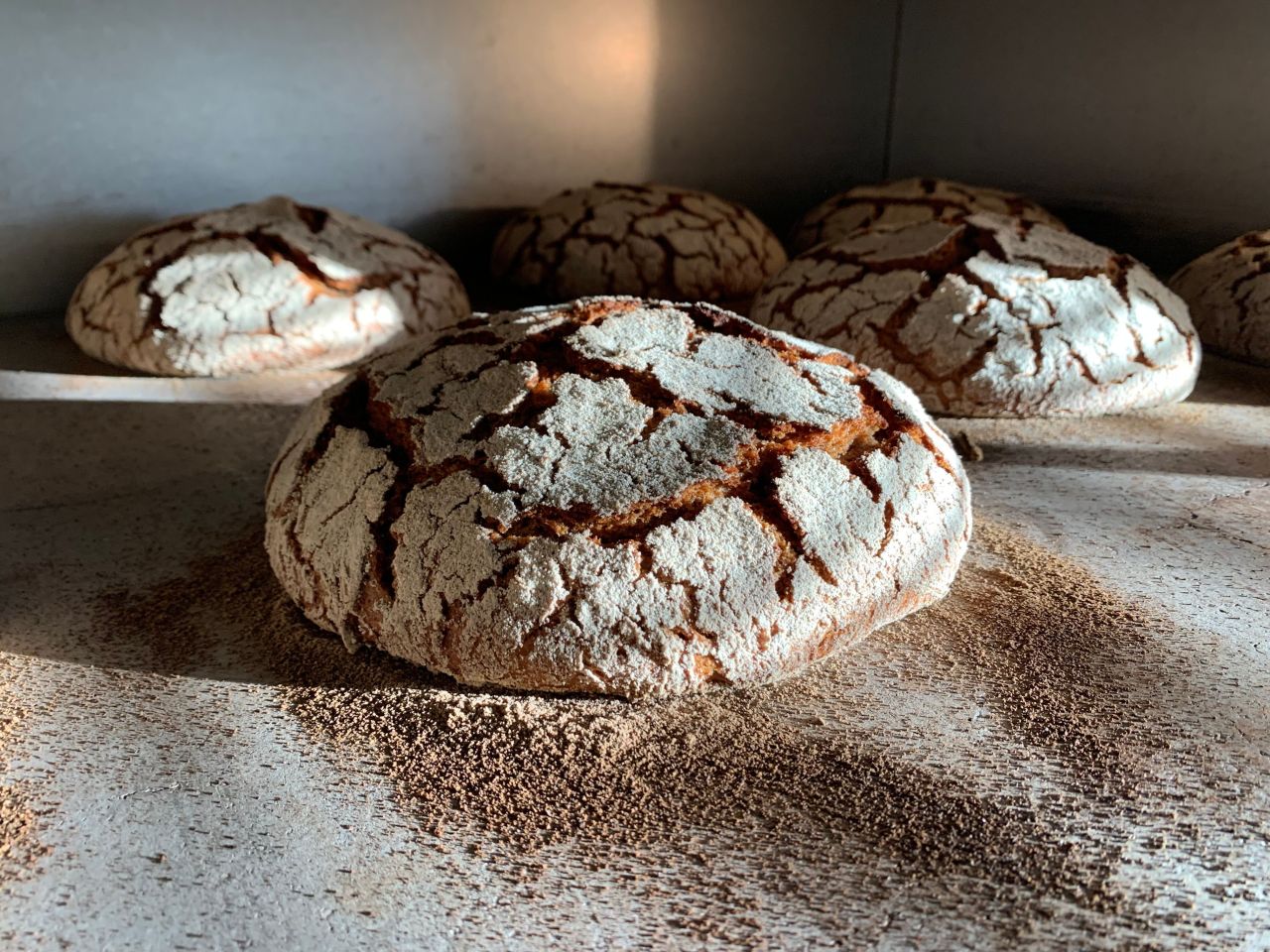 Rye loaves in the oven