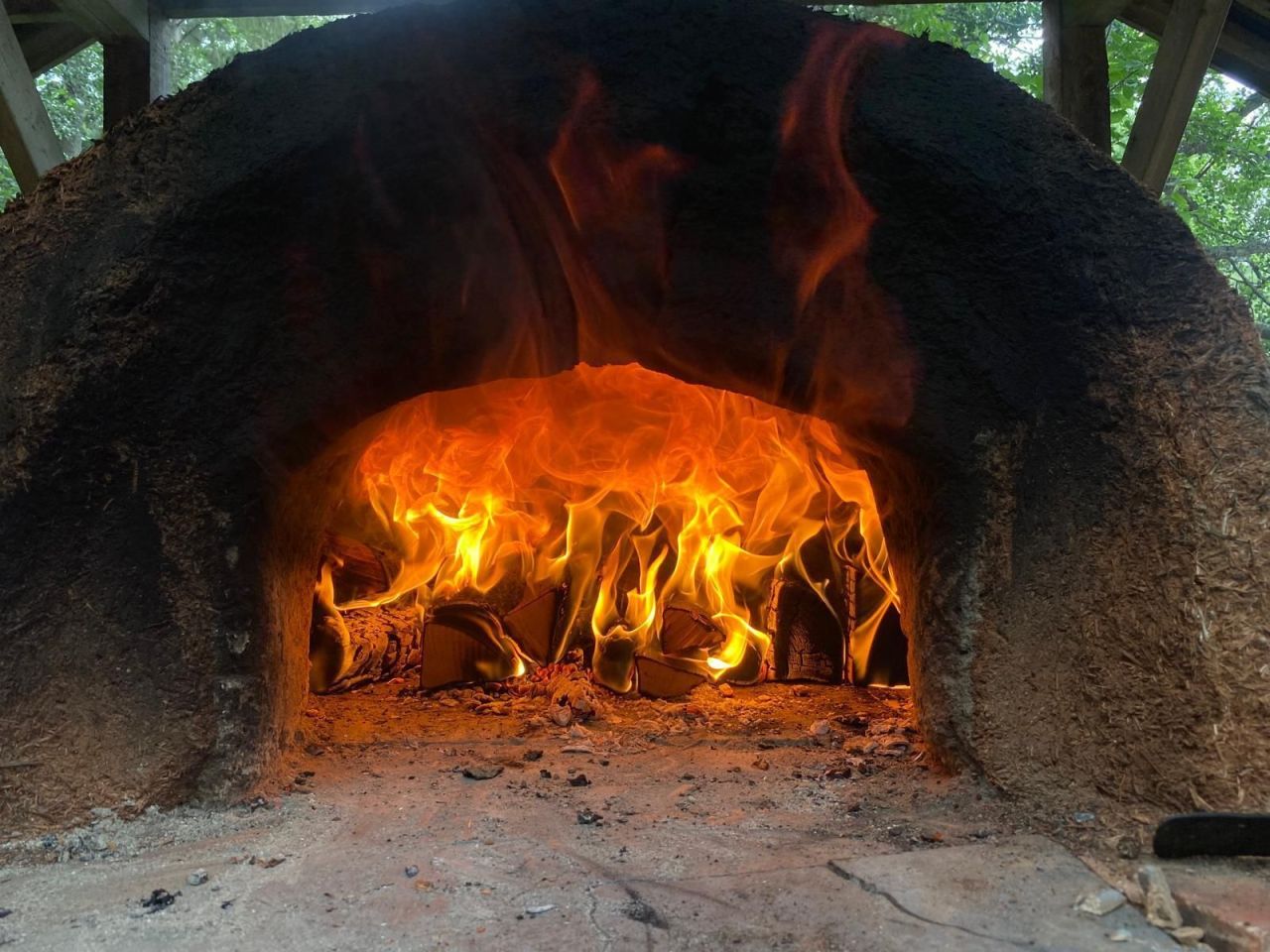 Wood-fired oven